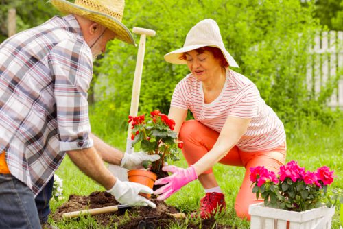 Keeping Seniors Healthy and Ready During Springtime